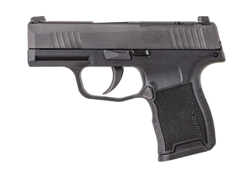 gun range wilson nc P365, 380 ACP, 3.1IN, NITRON, BLK, STRIKER, SIGLITE, POLYMER GRIP, (2) 10RD STEEL MAG